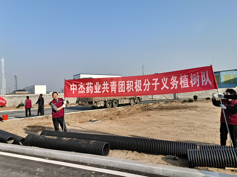 树绿色理念 建绿色家园