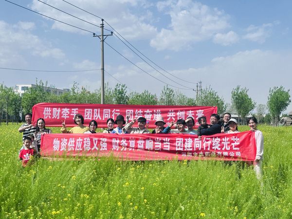图片4